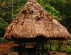 Ifugao Huts