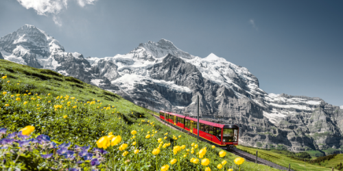 Swiss Travel Pass