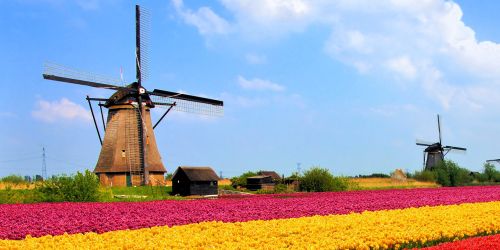 BEST OF THE NETHERLANDS