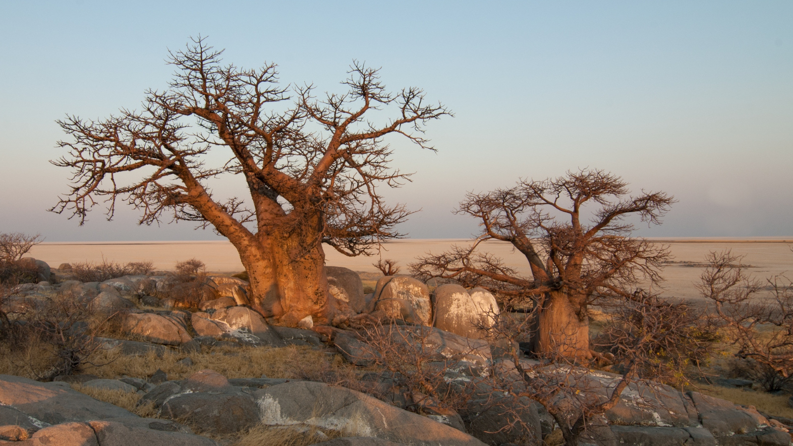 Makgadikgadi Pans Botswana Africa Marsman Travel