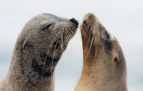 Galapagos Getaway