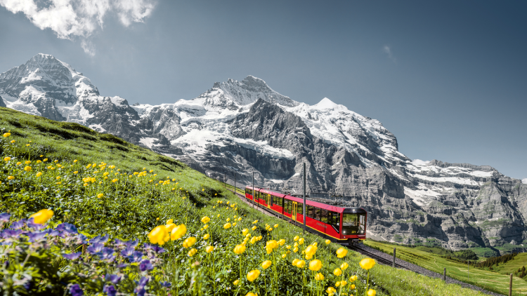 Swiss Travel Pass